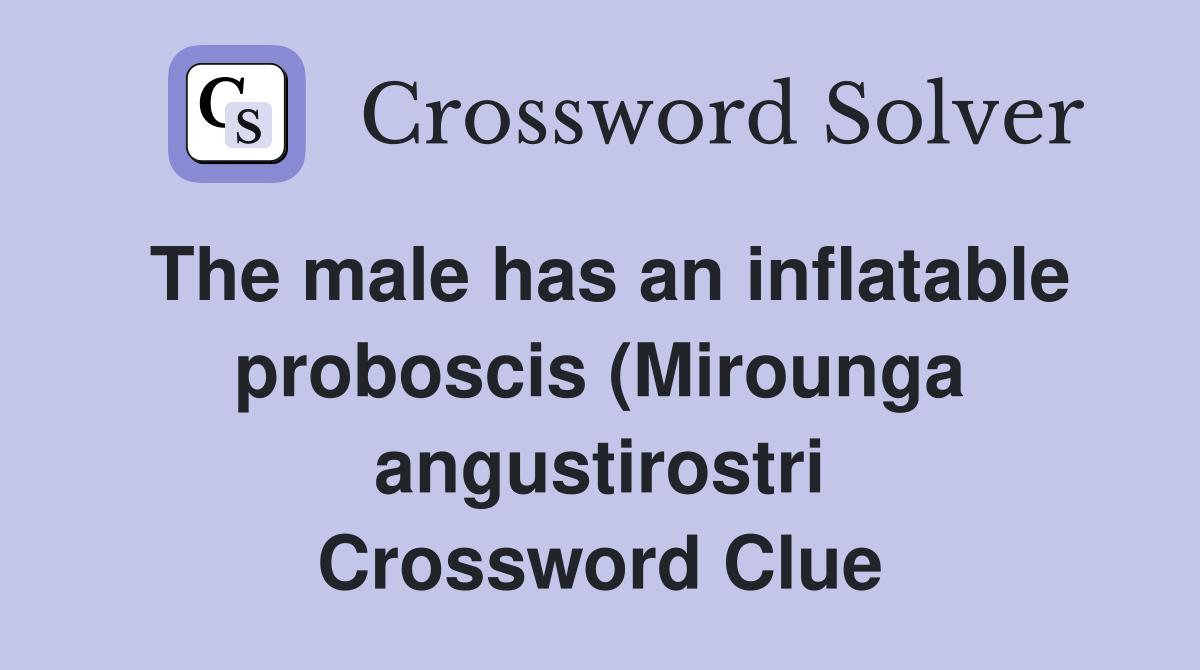The male has an inflatable proboscis (Mirounga angustirostri Crossword Clue