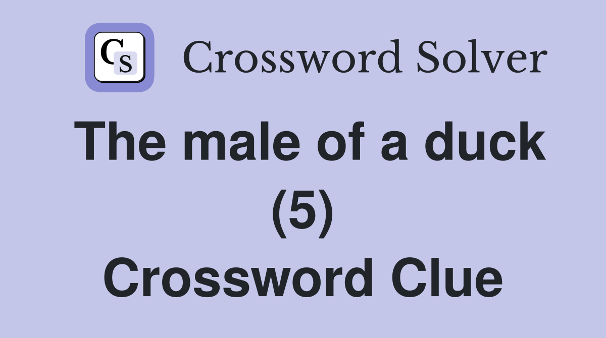 The male of a duck (5) Crossword Clue