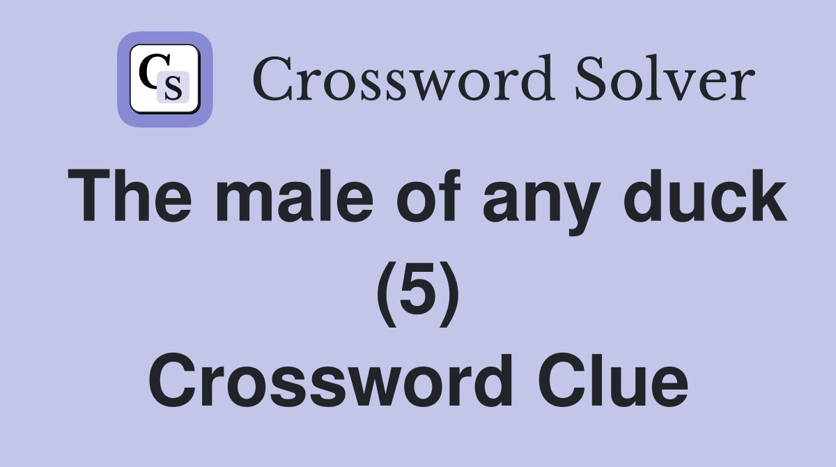 The male of any duck (5) Crossword Clue
