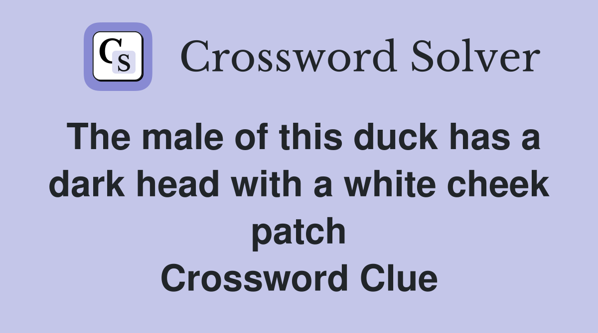 The male of this duck has a dark head with a white cheek patch Crossword Clue