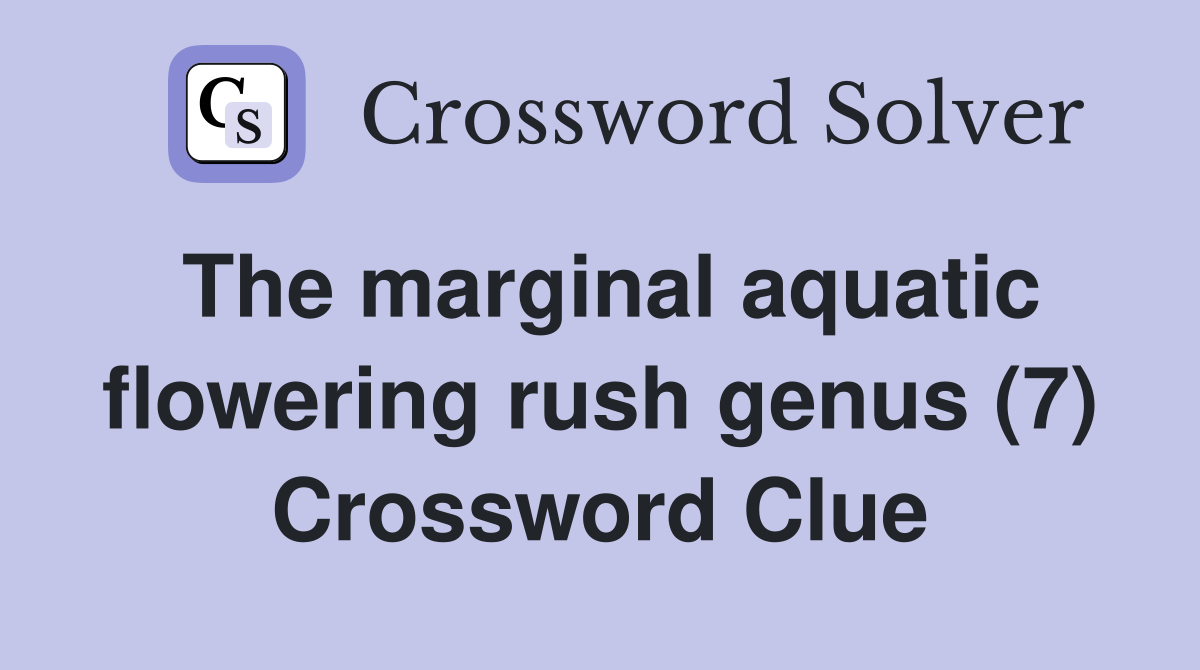 The marginal aquatic flowering rush genus (7) Crossword Clue