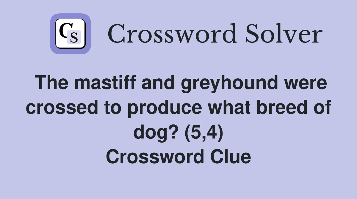 The mastiff and greyhound were crossed to produce what breed of dog? (5,4) Crossword Clue