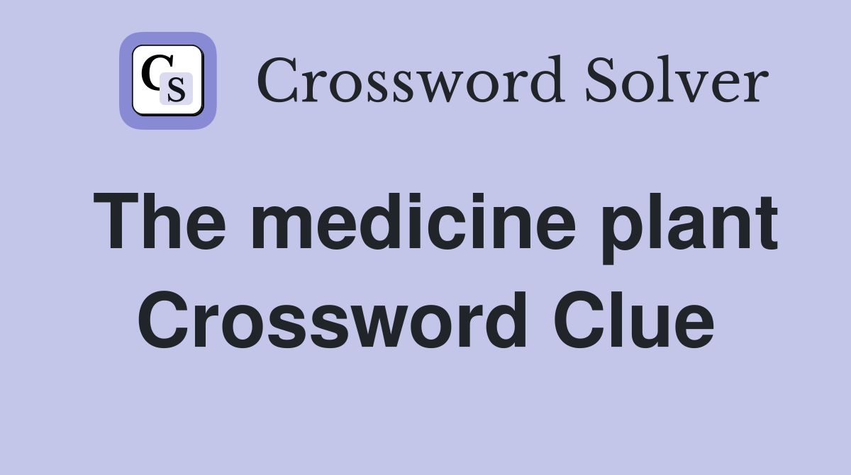 The medicine plant Crossword Clue