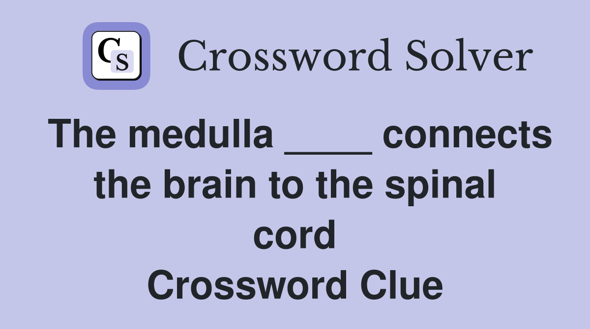 The medulla ____ connects the brain to the spinal cord Crossword Clue