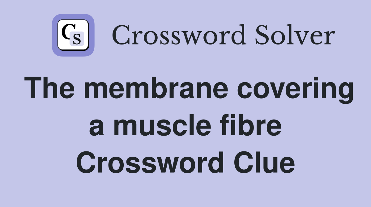 The membrane covering a muscle fibre Crossword Clue