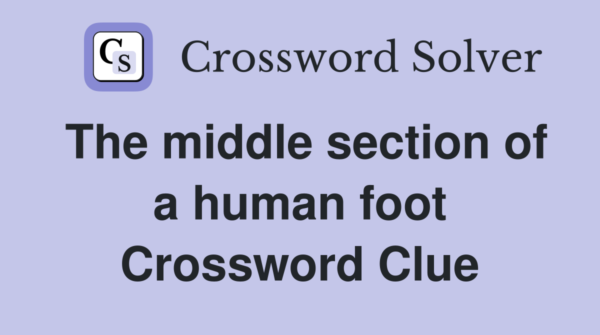 The middle section of a human foot Crossword Clue