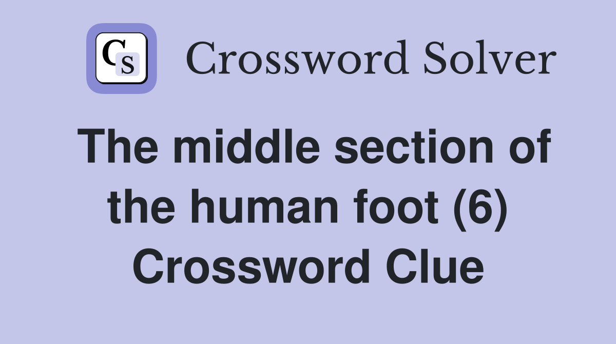 The middle section of the human foot (6) Crossword Clue