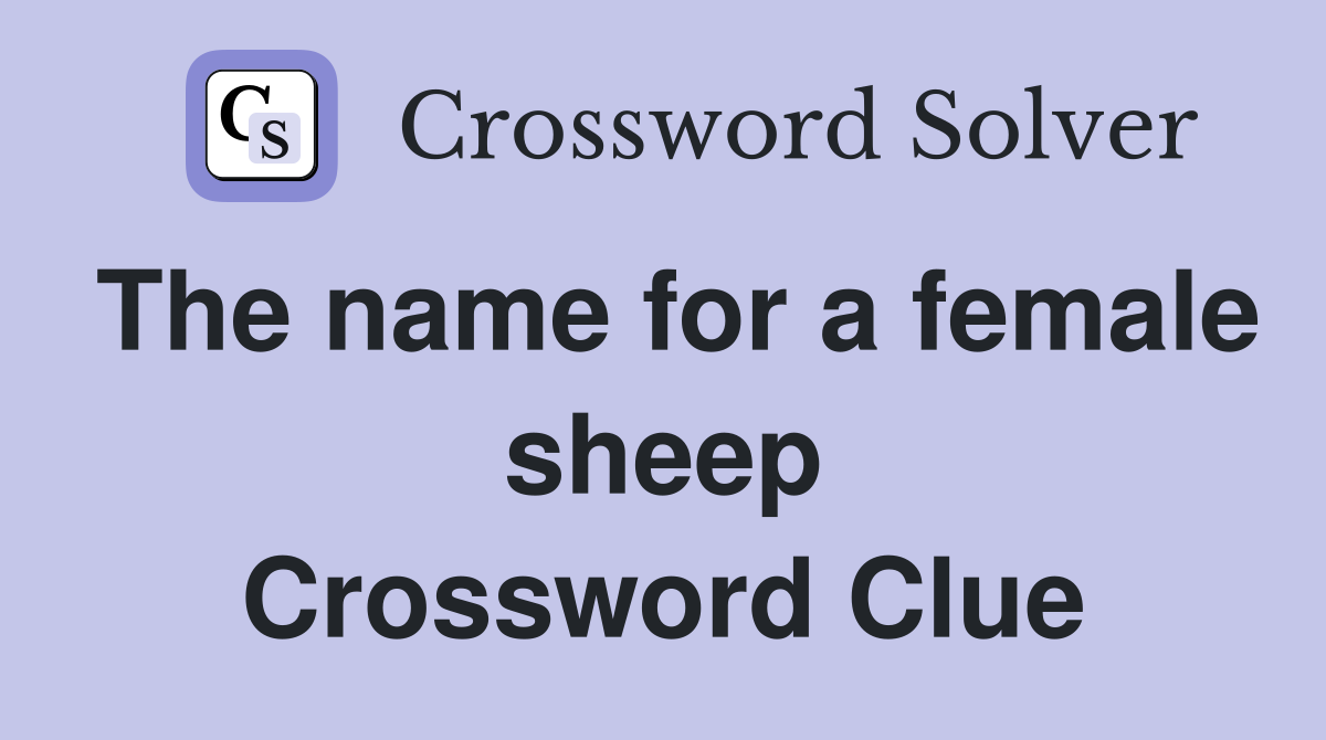 The name for a female sheep Crossword Clue