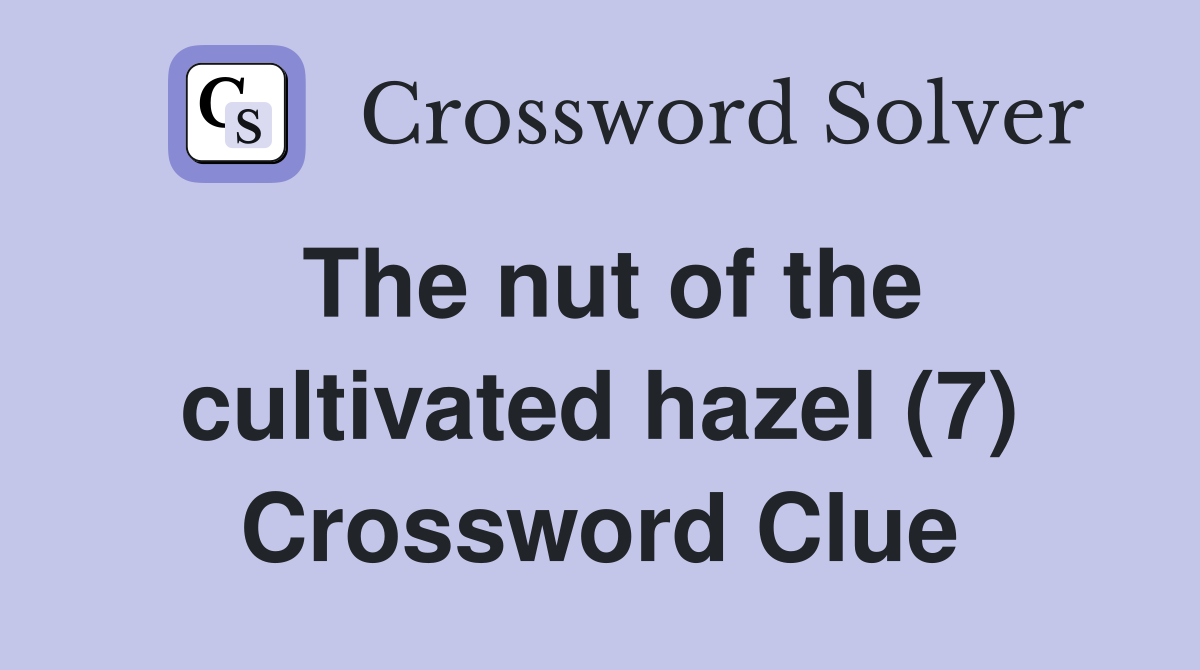 The nut of the cultivated hazel (7) Crossword Clue
