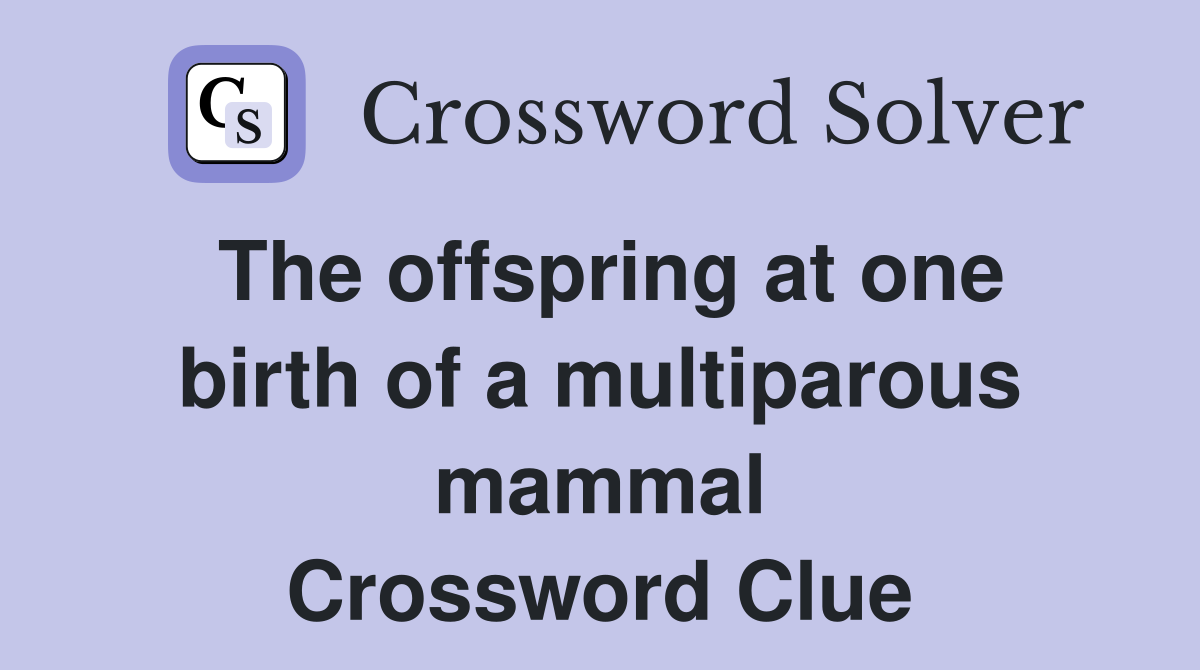 The offspring at one birth of a multiparous mammal Crossword Clue