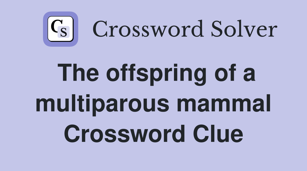 The offspring of a multiparous mammal Crossword Clue