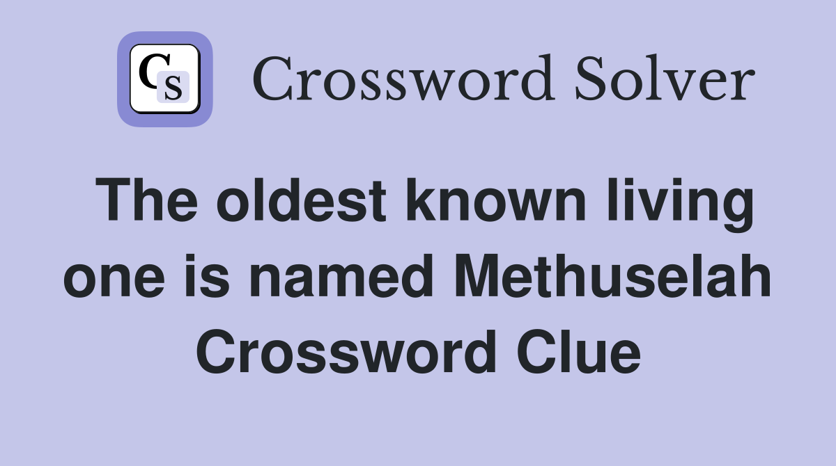 The oldest known living one is named Methuselah Crossword Clue