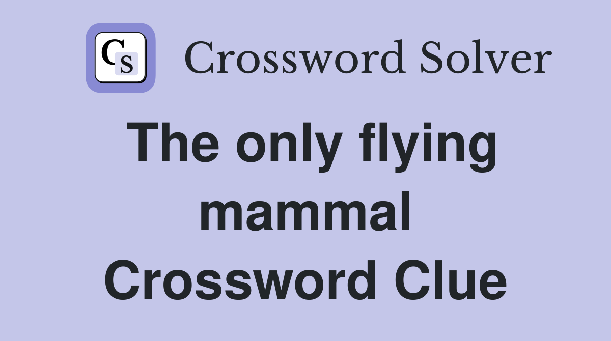 The only flying mammal Crossword Clue
