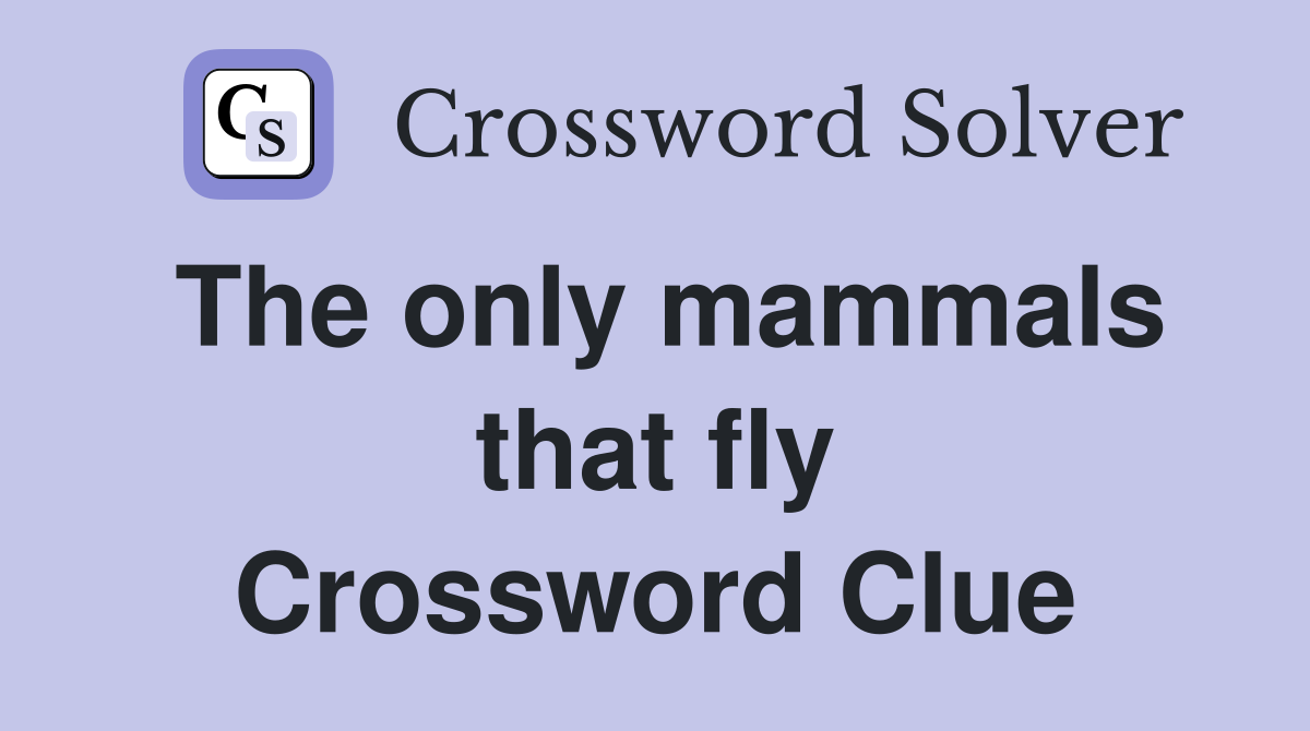 The only mammals that fly Crossword Clue
