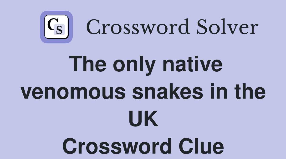 The only native venomous snakes in the UK Crossword Clue