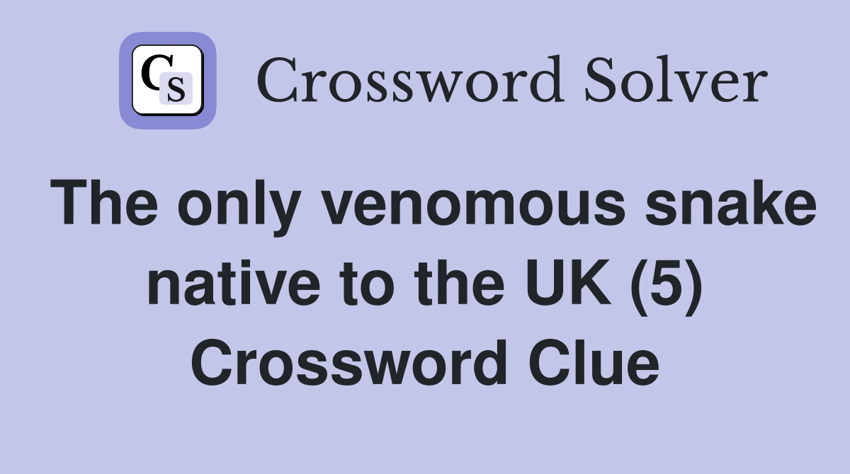 The only venomous snake native to the UK (5) Crossword Clue
