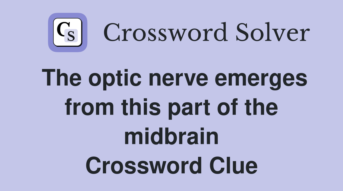 The optic nerve emerges from this part of the midbrain Crossword Clue