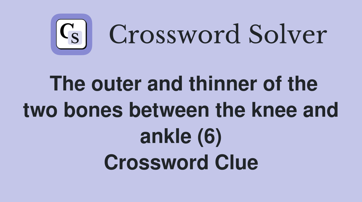 The outer and thinner of the two bones between the knee and ankle (6) Crossword Clue
