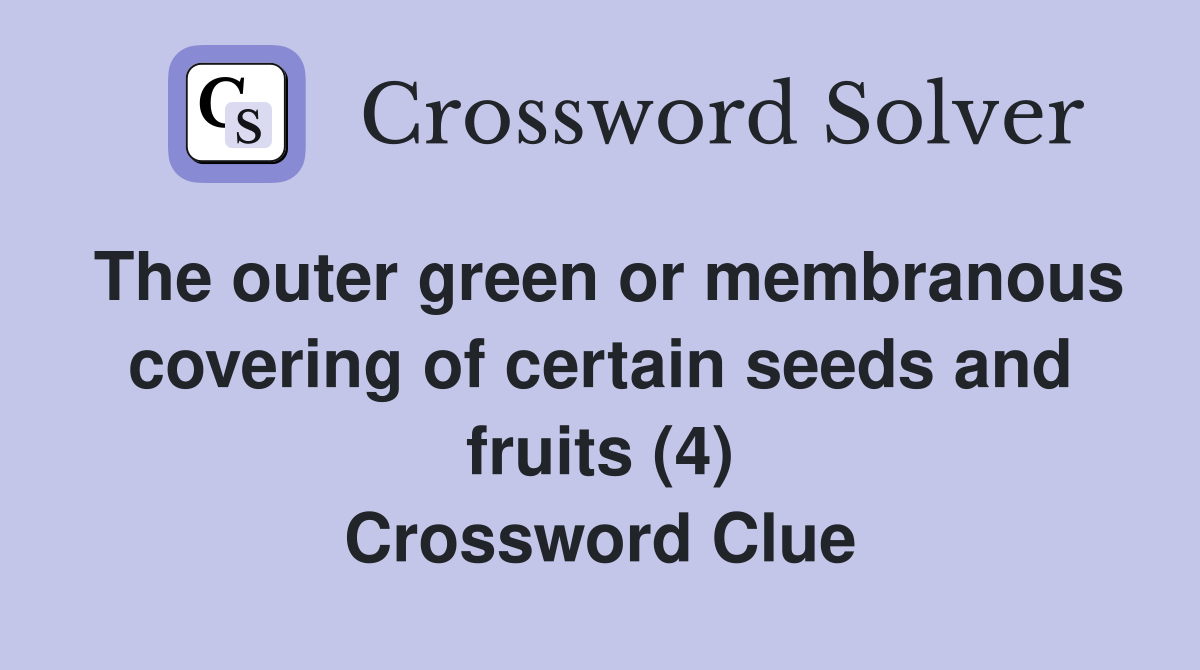 The outer green or membranous covering of certain seeds and fruits (4) Crossword Clue