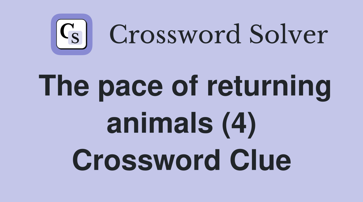 The pace of returning animals (4) Crossword Clue
