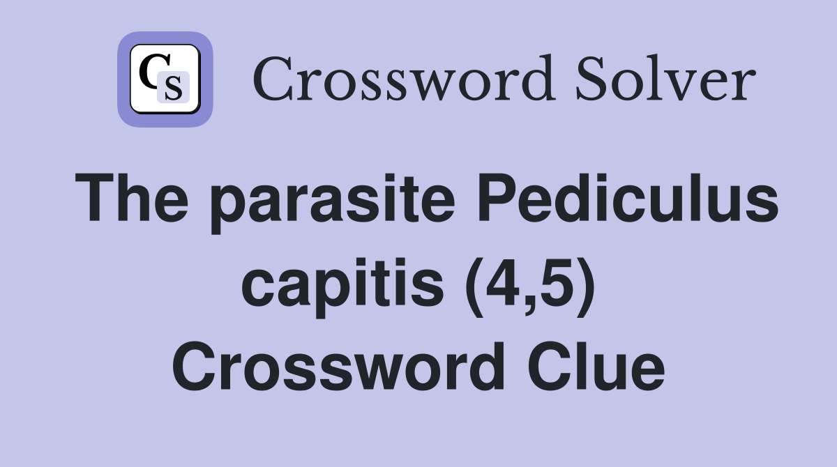 The parasite Pediculus capitis (4,5) Crossword Clue