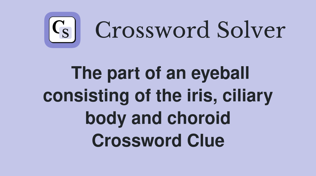 The part of an eyeball consisting of the iris, ciliary body and choroid Crossword Clue