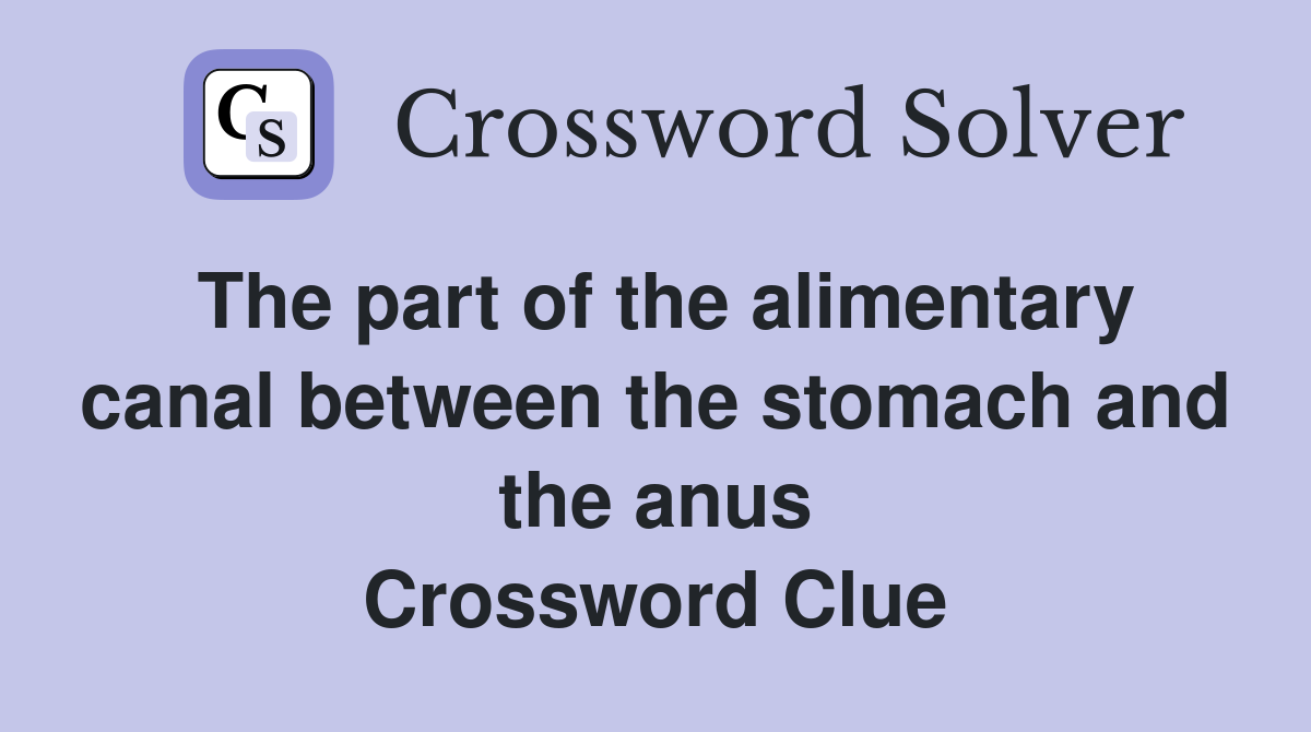 The part of the alimentary canal between the stomach and the anus Crossword Clue