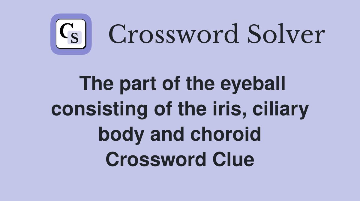 The part of the eyeball consisting of the iris, ciliary body and choroid Crossword Clue
