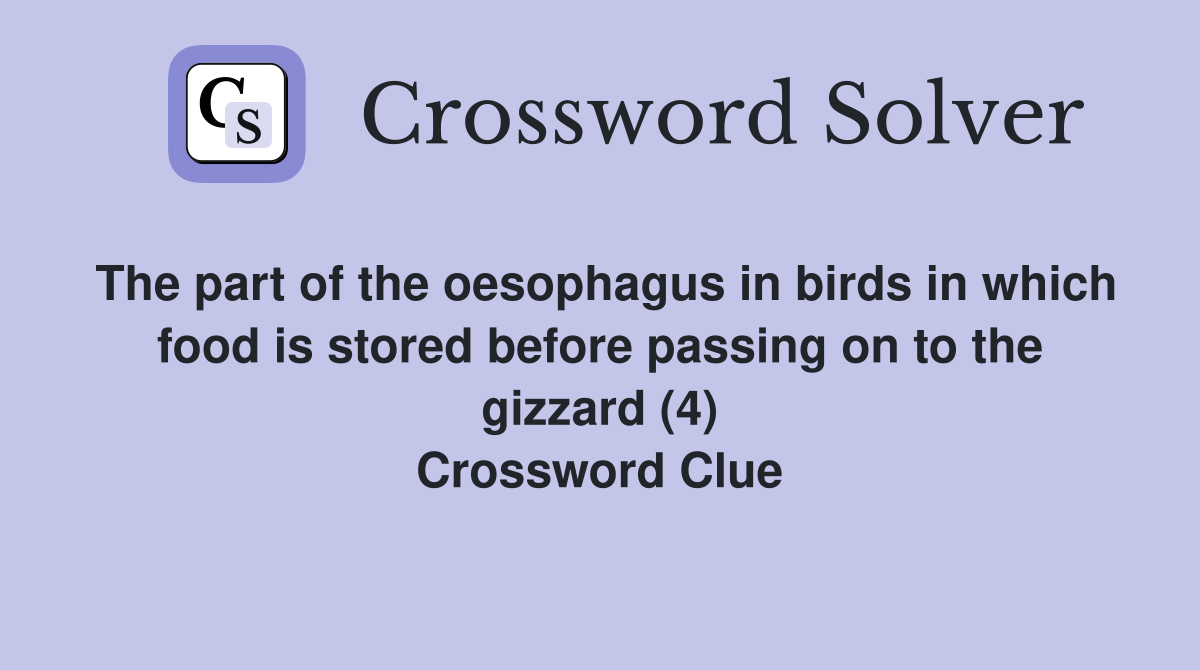 The part of the oesophagus in birds in which food is stored before passing on to the gizzard (4) Crossword Clue