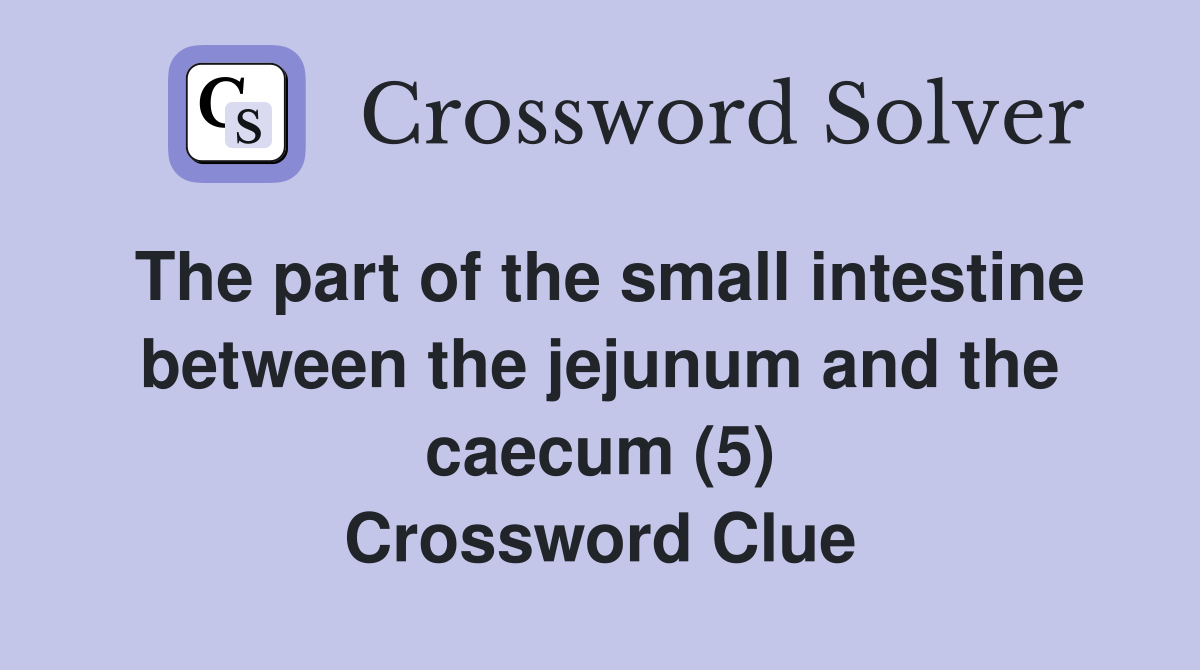 The part of the small intestine between the jejunum and the caecum (5) Crossword Clue