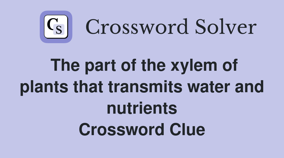 The part of the xylem of plants that transmits water and nutrients Crossword Clue