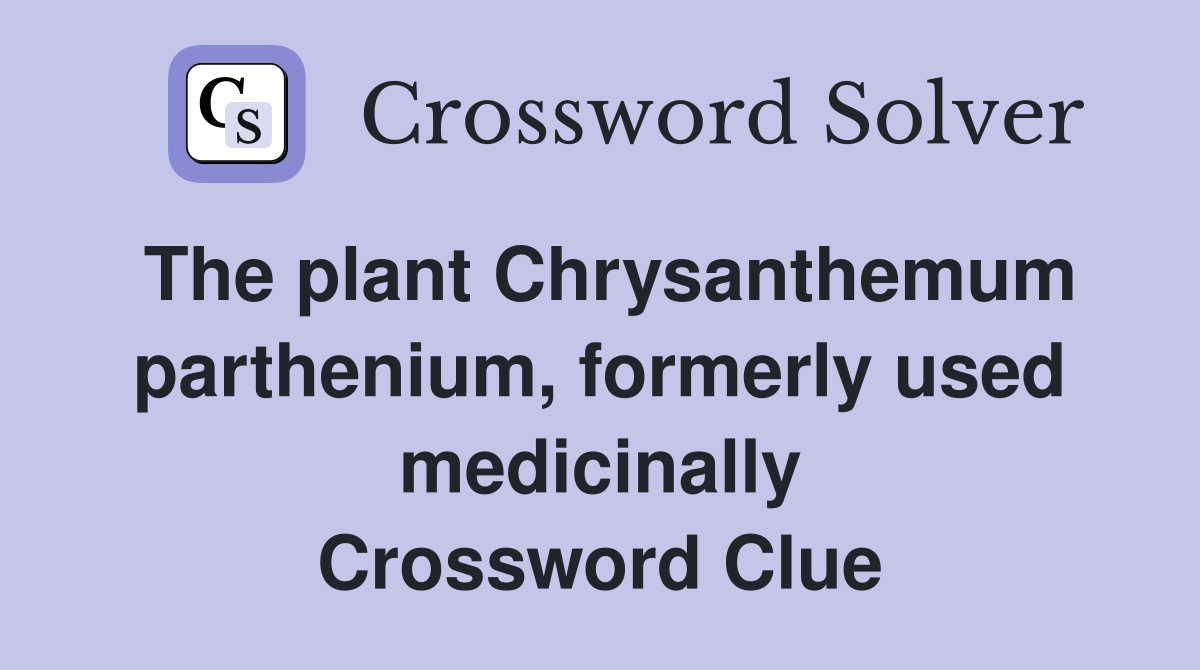 The plant Chrysanthemum parthenium, formerly used medicinally Crossword Clue