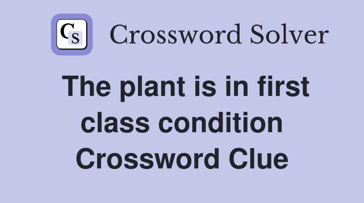 The plant is in first class condition Crossword Clue