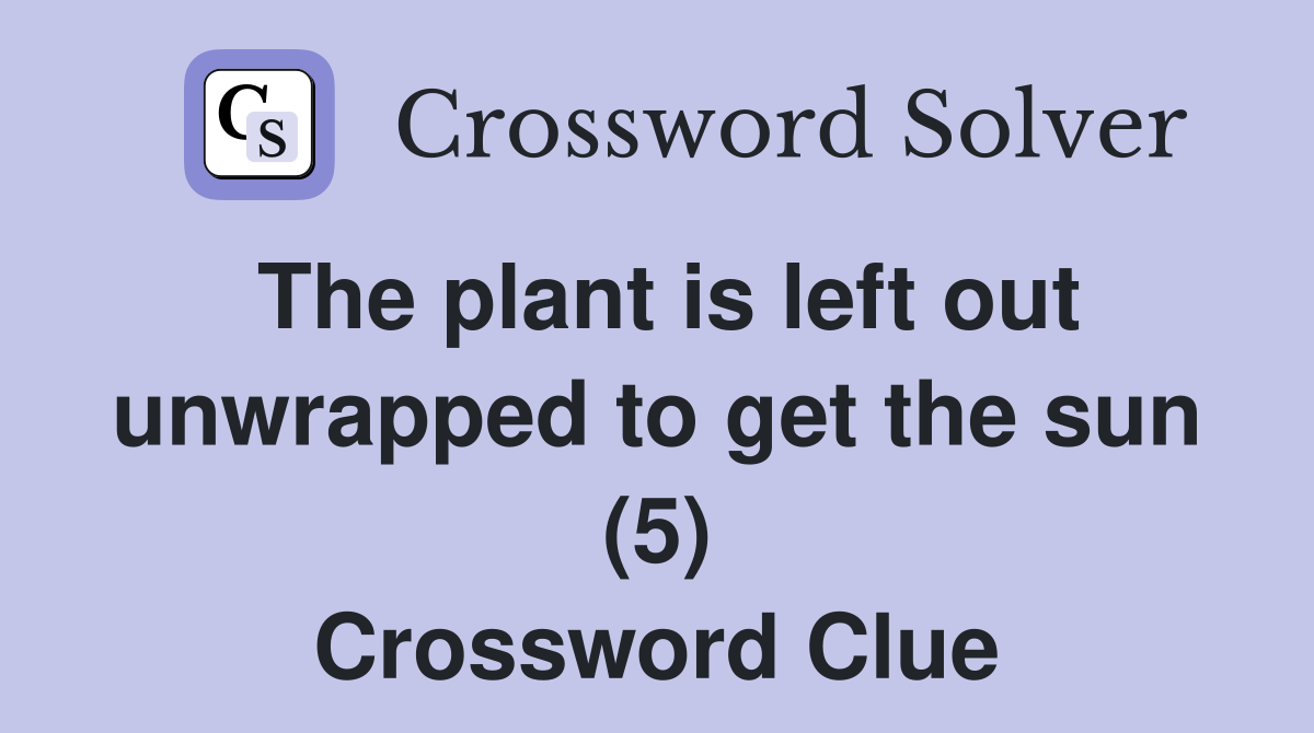 The plant is left out unwrapped to get the sun (5) Crossword Clue