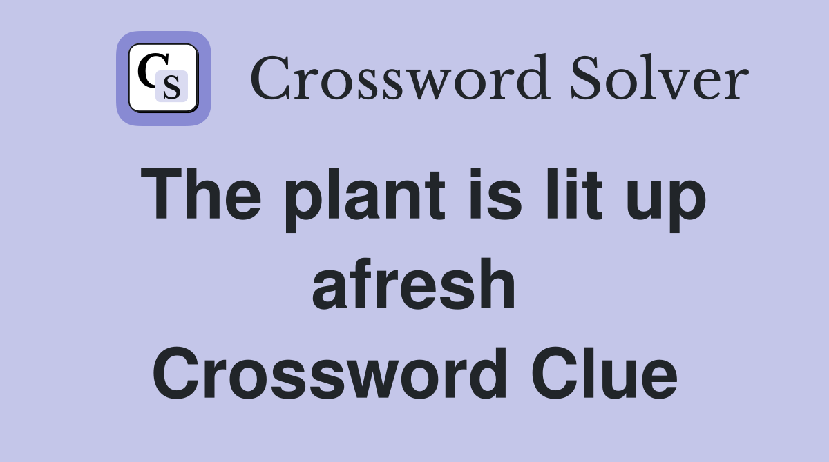 The plant is lit up afresh Crossword Clue