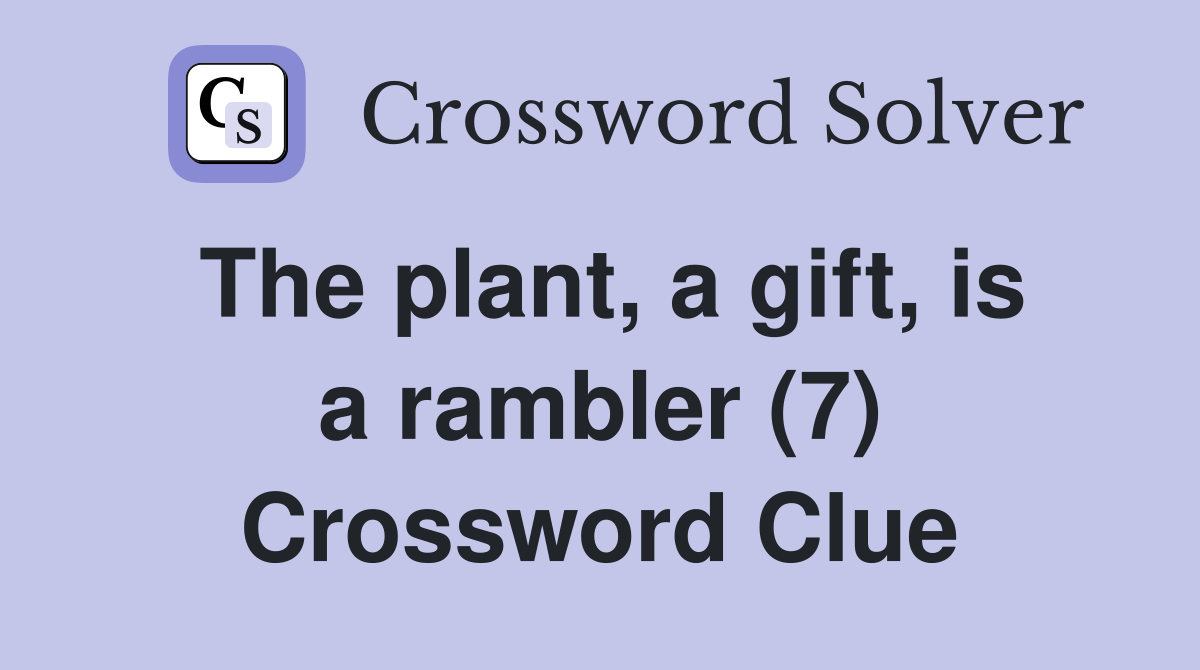 The plant, a gift, is a rambler (7) Crossword Clue