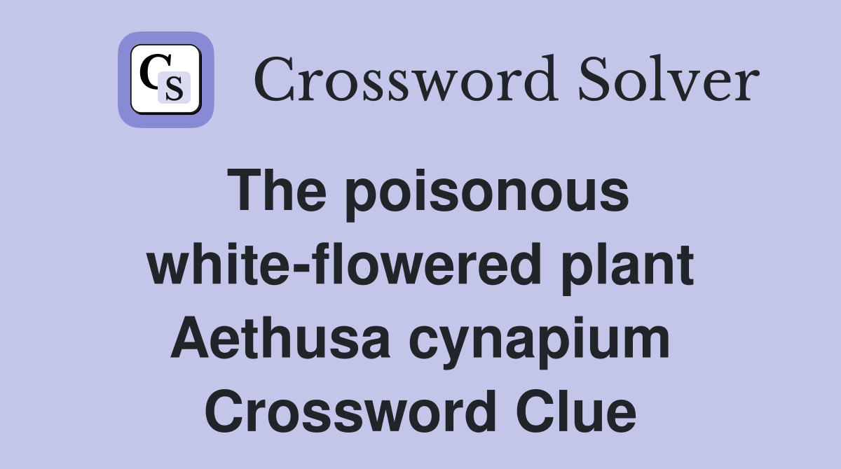 The poisonous white-flowered plant Aethusa cynapium Crossword Clue