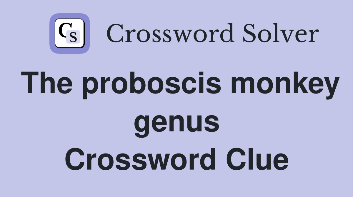 The proboscis monkey genus Crossword Clue