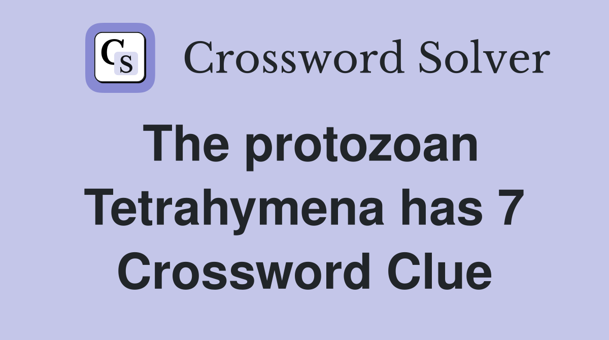 The protozoan Tetrahymena has 7 Crossword Clue
