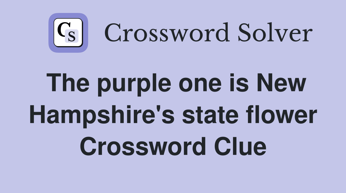 The purple one is New Hampshire's state flower Crossword Clue