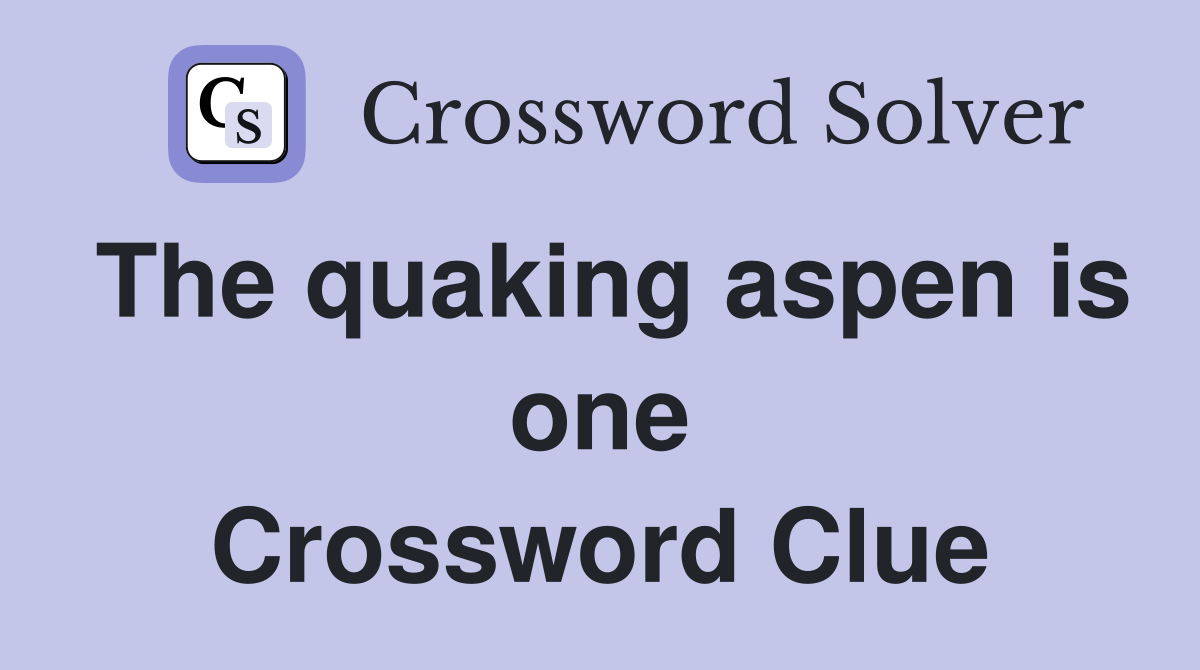 The quaking aspen is one Crossword Clue
