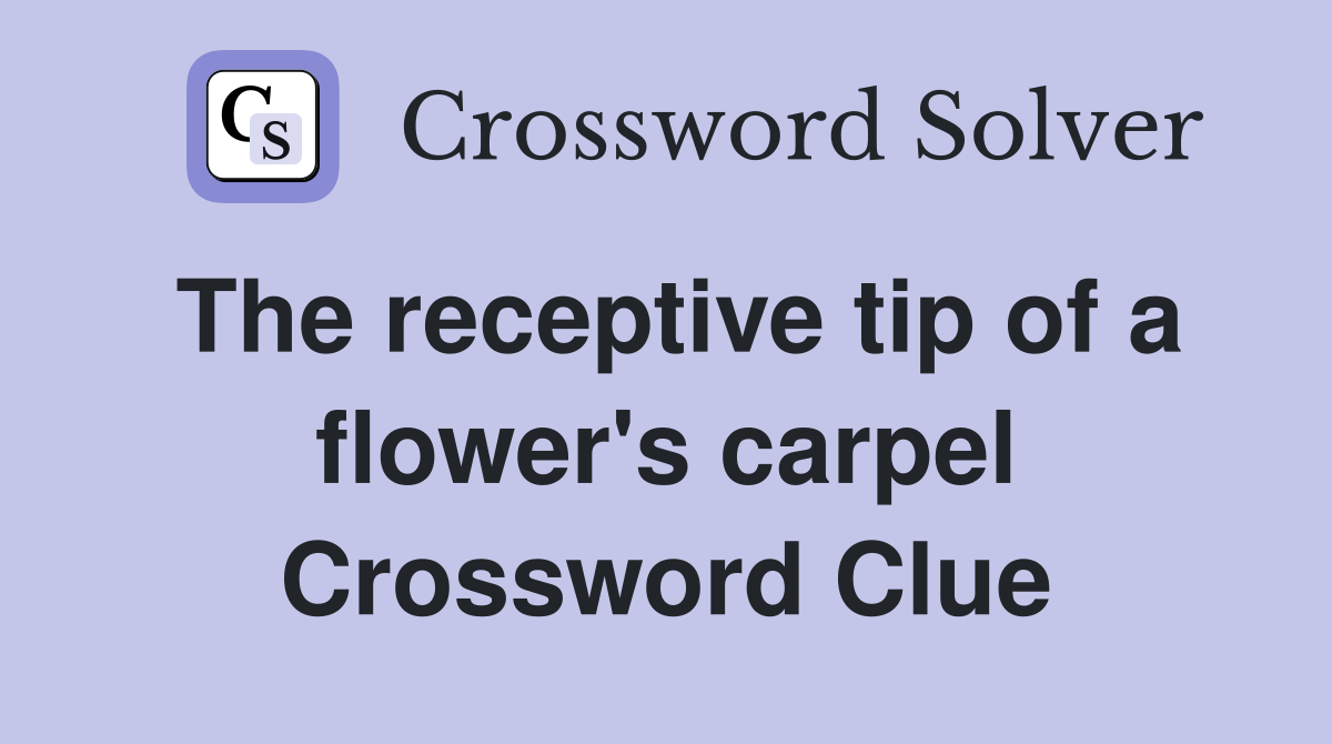 The receptive tip of a flower's carpel Crossword Clue