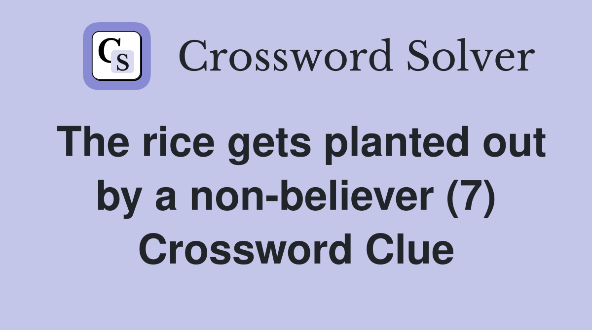 The rice gets planted out by a non-believer (7) Crossword Clue