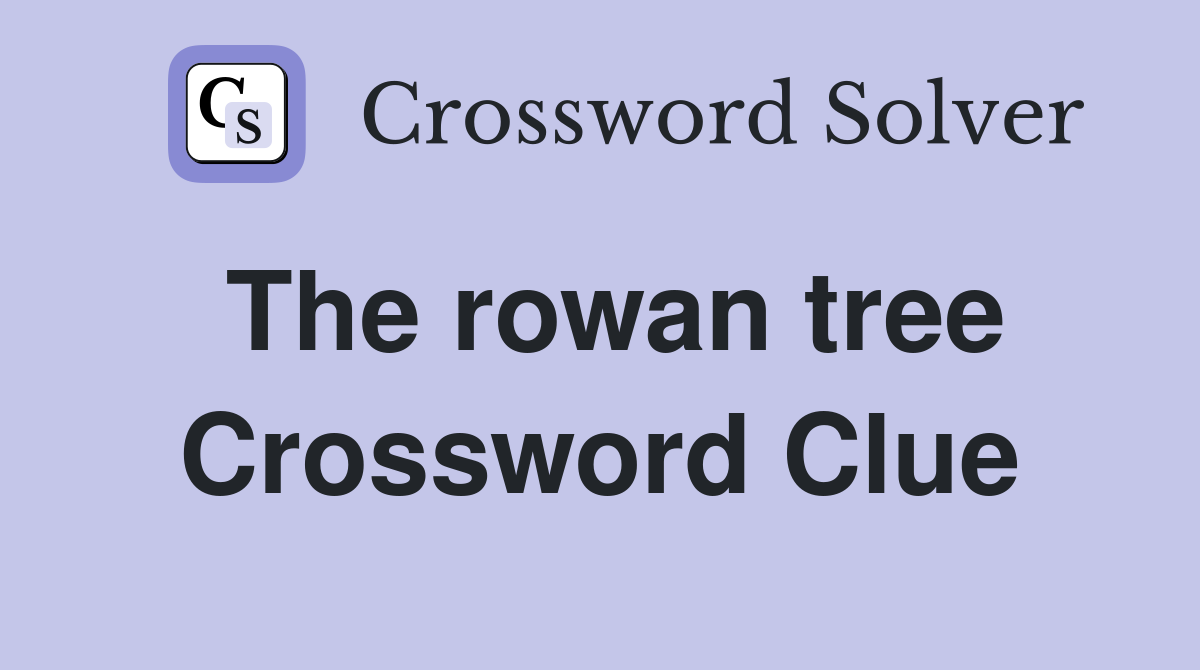 The rowan tree Crossword Clue