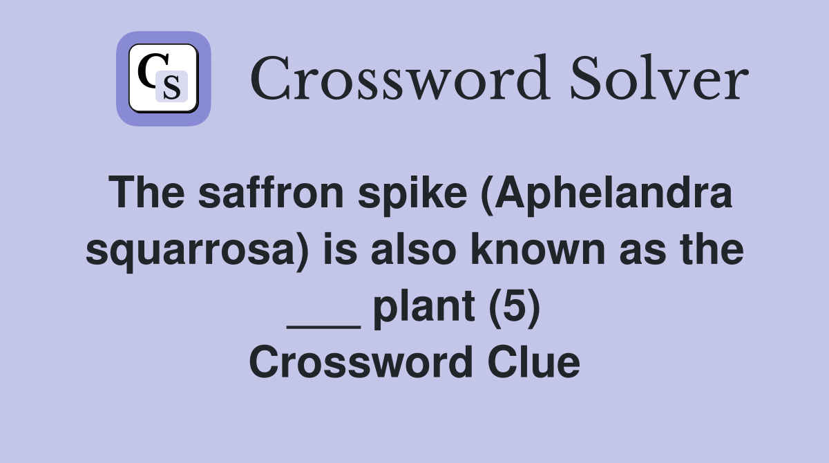 The saffron spike (Aphelandra squarrosa) is also known as the ___ plant (5) Crossword Clue