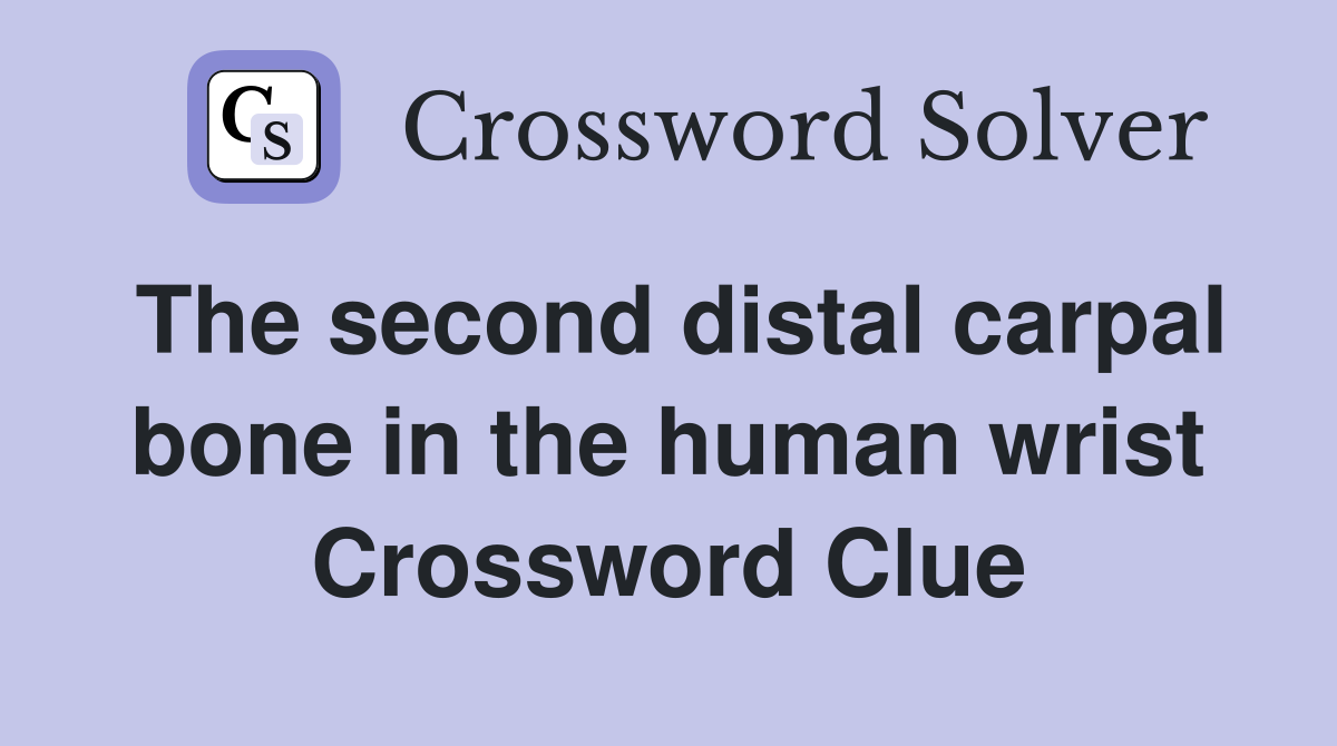 The second distal carpal bone in the human wrist Crossword Clue