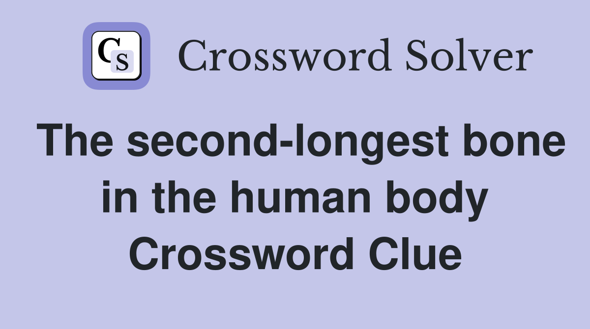 The second-longest bone in the human body Crossword Clue