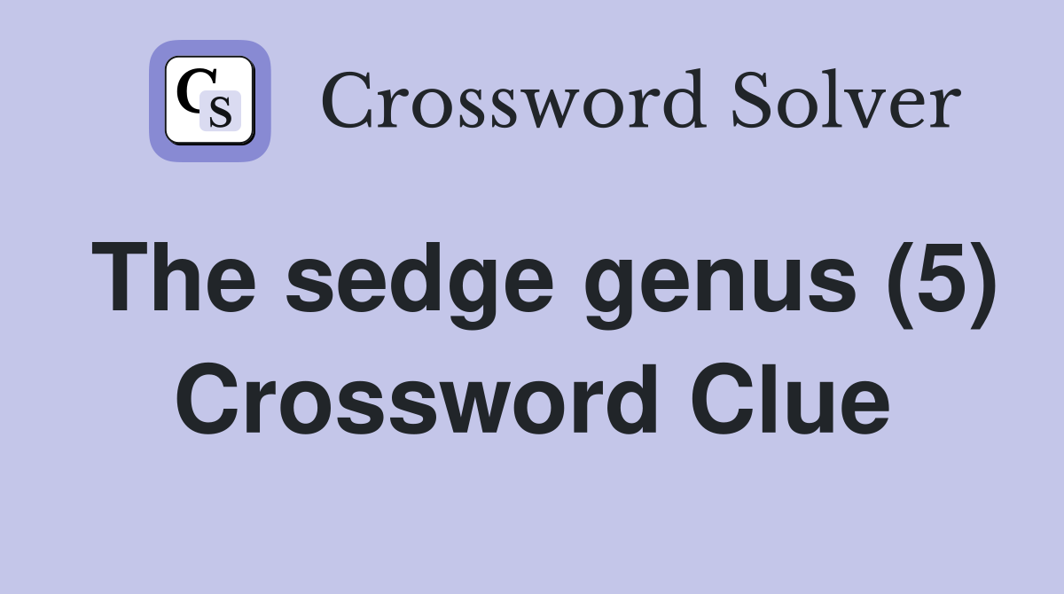 The sedge genus (5) Crossword Clue