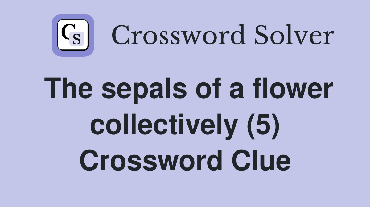 The sepals of a flower collectively (5) Crossword Clue