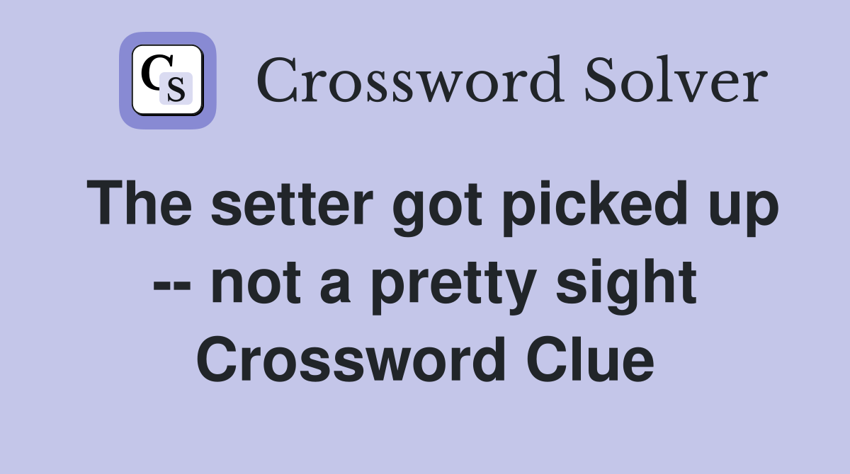 The setter got picked up -- not a pretty sight Crossword Clue